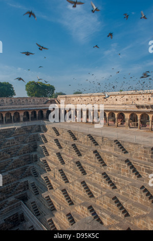 Chand Baori, uno del pozzetto gradini Nei punti più profondi in India Foto Stock