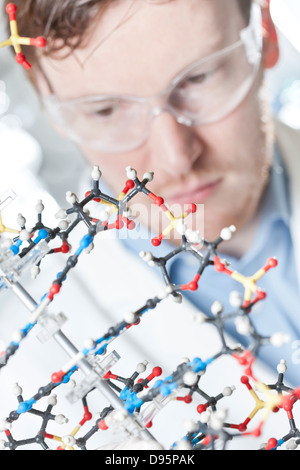 Germania, giovane scienziato con modello di DNA Foto Stock
