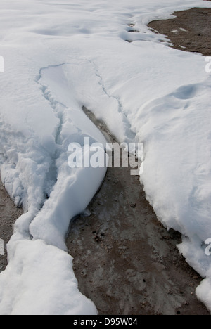 Fontana Paint Pots Area, inverno, Yellowstone NP, WY Foto Stock