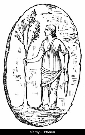 Minerva, antica dea romana, Pallas Athena nel pantheon greco. Minerva tenendo un giovane albero di olivo. Secondo la leggenda che ha creato l'oliva come la più necessaria e utile presente all'uomo. Incisione dopo una guarnizione da Ithaca. Foto Stock