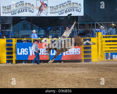 Cowboy partecipante in un cavallo di contraccolpi della concorrenza a Helldorado giorni rodeo professionale in Las Vegas Foto Stock