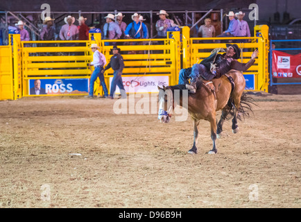 Cowboy partecipante in un cavallo di contraccolpi della concorrenza a Helldorado giorni rodeo professionale in Las Vegas Foto Stock