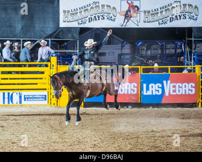 Cowboy partecipante in un cavallo di contraccolpi della concorrenza a Helldorado giorni rodeo professionale in Las Vegas Foto Stock