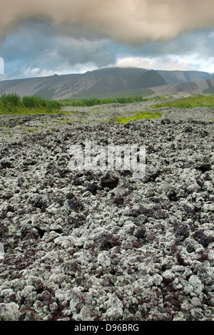 Paesaggio vulcanico del Le Grand Brulé e le pendici del Piton de la Fournaise vulcano sull isola francese di la Reunion. Foto Stock