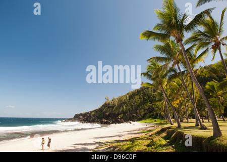 Grande Anse Beach sull'isola francese di la Reunion nell'Oceano Indiano. Foto Stock