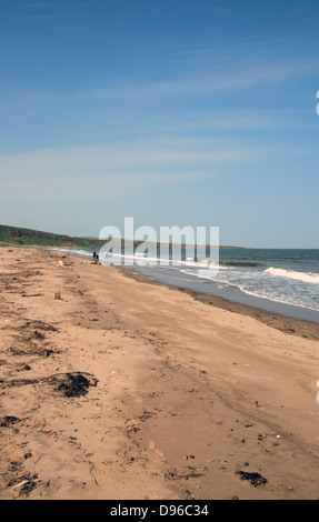 San Ciro Bay e la spiaggia, Aberdeenshire, Scotland, Regno Unito Foto Stock