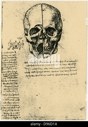 Leonardo da Vinci (1452-1519) Italiano pittore, scultore, ingegnere e architetto. Studio anatomico del cranio Foto Stock