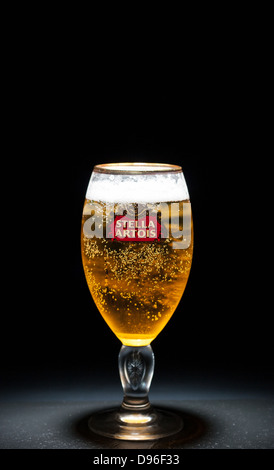 Il freddo rinfrescante pinta di birra lager in un isolato impostazione indoor. Foto Stock