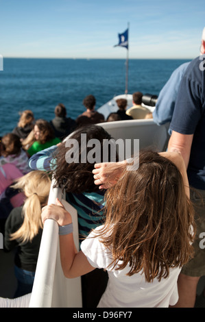 Whale watching nel Pacifico vicino a San Diego, California, Stati Uniti d'America Foto Stock