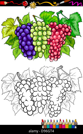 Libro da colorare o pagina Cartoon illustrazione di tre grappoli di bianco e rosso e nero o blu uva o Grapevine frutti Foto Stock