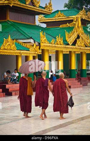I monaci buddisti alla Shwedagon Paya o pagoda che risale al tempo del Buddha - YANGON, MYANAMAR Foto Stock