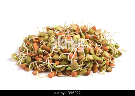 Cibo sano.semi di lenticchie con i germogli isolato su bianco Foto Stock