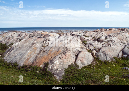 Un affioramento roccioso sulla costa occidentale di Hudson Bay con bassa marea nell'Oceano Artico, nel terreno Canadian Shield, vicino Churchill, Manitoba, Canada. Foto Stock