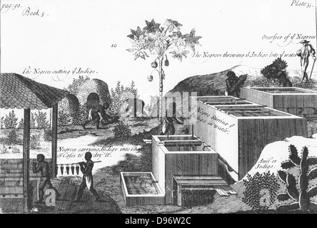 La produzione di tintura indaco con lavoro schiavo: West Indies o America Centrale. Da P. Pomet 'A Compleat storia di droga", Londra, 1725. Incisione su rame. Foto Stock