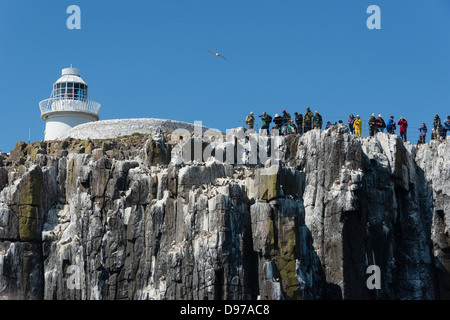 Gli amanti del birdwatching e fotografi sulla sommità cliif accanto a farne interna faro Foto Stock