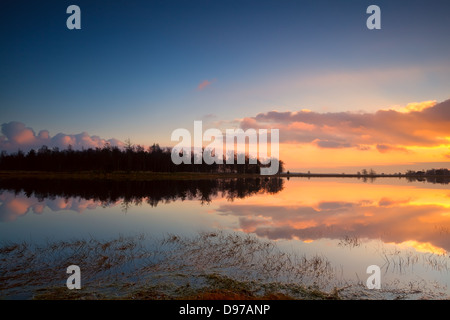 Calma tramonto sulla superficie del lago, Dwingelderveld Foto Stock