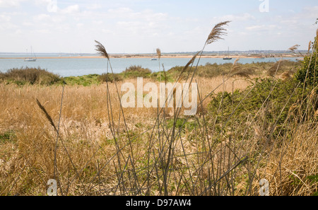 Vista del fiume Blackwater estuary, West Mersea, Mersea Island, Essex, Inghilterra Foto Stock