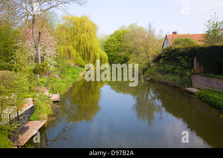 Calma alberata tratto del fiume Stour a Bures, Suffolk confine Essex, Inghilterra Foto Stock