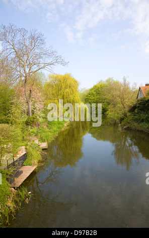 Calma alberata tratto del fiume Stour a Bures, Suffolk confine Essex, Inghilterra Foto Stock