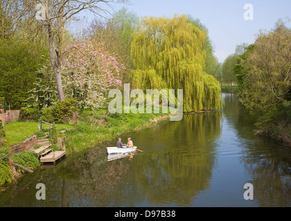 Barca a remi sul fiume Stour a Bures, Suffolk confine Essex, Inghilterra Foto Stock