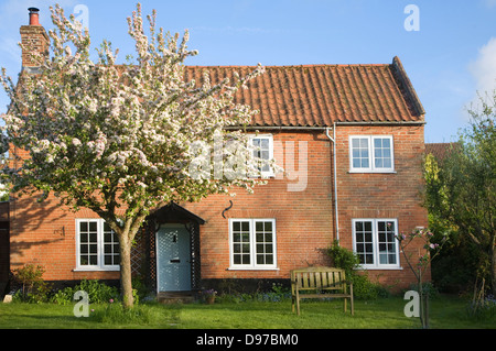 Proprietà rilasciato mattone rosso staccato, casa con Apple Blossom ad albero nel giardino, Shottisham, Suffolk, Inghilterra Foto Stock