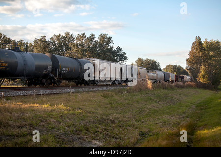 Un treno merci comprese le automobili del serbatoio passa attraverso una zona rurale nei pressi di Hawthorne, Florida. Foto Stock