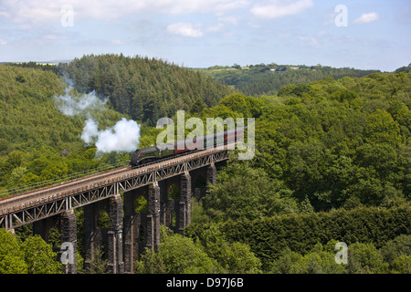 Il Royal ducato della cottura a vapore su St Pinnock viadotto in Cornovaglia Foto Stock