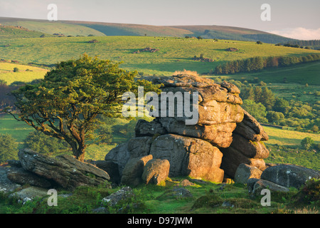 Dartmoor brughiera e la campagna in estate, Sella Tor, Dartmoor Devon, Inghilterra. Luglio 2012 Foto Stock