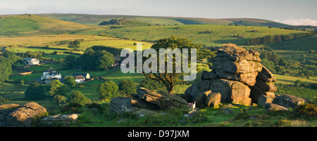 Dartmoor brughiera e la campagna in estate, Sella Tor, Dartmoor Devon, Inghilterra. Luglio 2012. Foto Stock