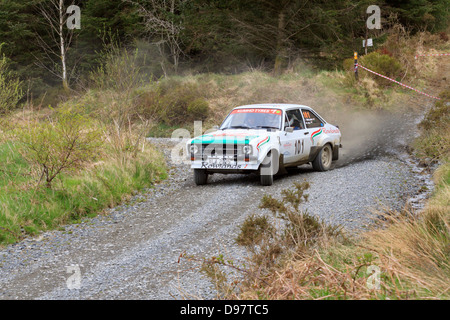 Una vettura da rally a pianure rally 2013 (Gartheiniog stadio). Foto Stock