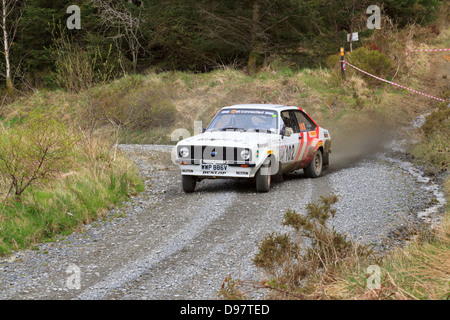 Una vettura da rally a pianure rally 2013 (Gartheiniog stadio). Foto Stock