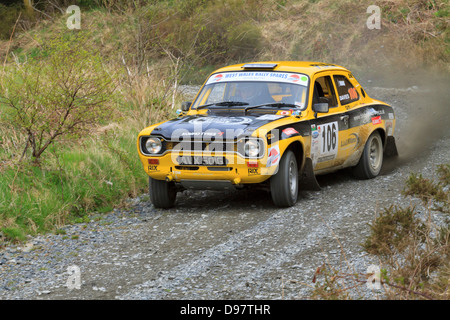 Una vettura da rally a pianure rally 2013 (Gartheiniog stadio). Foto Stock