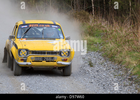 Una vettura da rally a pianure rally 2013 (Gartheiniog stadio). Foto Stock