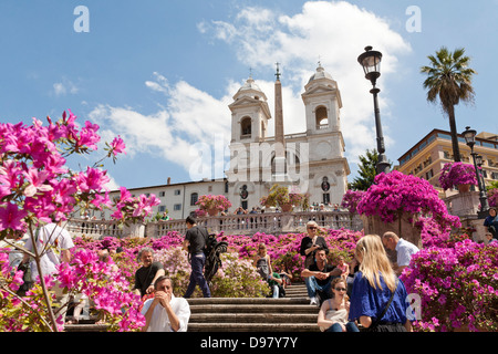 Vasi di Azalee in fiore, Piazza di Spagna e la scalinata della Trinita dei Monti, Piazza di Spagna, Roma, Italia Foto Stock