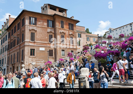 Vasi di Azalee in fiore, Piazza di Spagna e la scalinata della Trinita dei Monti, Piazza di Spagna, Roma, Italia Foto Stock