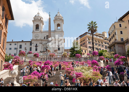 Vasi di Azalee in fiore, Piazza di Spagna e la scalinata della Trinita dei Monti, Piazza di Spagna, Roma, Italia Foto Stock