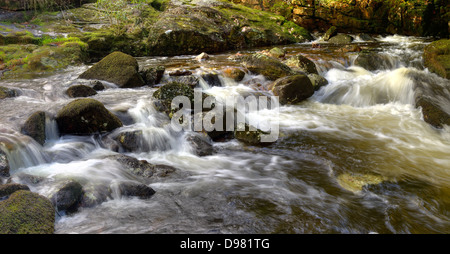 Le piogge di primavera del Fiume Aune (o Avon) qui si scende attraverso la gola sopra Shipley Bridge nel Parco Nazionale di Dartmoor Foto Stock