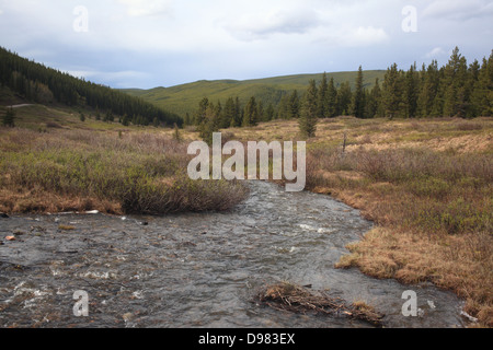 Prairie Creek Trail a Kananaskis Country Alberta Foto Stock