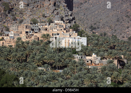 Al-Hamra è uno dei tanti interessanti oasi con un vecchio mucky parte con red case sulle fondamenta di pietra. Qui il distretto di Misf Foto Stock