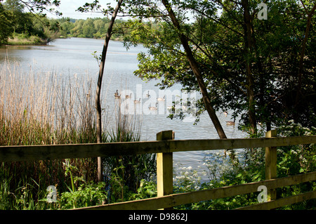 Freccia Valley Park Lake, Louisville, REGNO UNITO Foto Stock