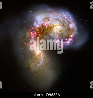 Le antenne galassie/NGC 4038-4039 . Queste due galassie a spirale, disegnata insieme per gravità, iniziato ad interagire a poche centinaia di milioni di anni fa. Le antenne galassie sono il più vicino e il più giovane esempi di una coppia di collisione di galassie. Foto Stock