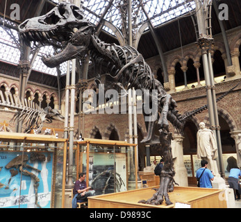 Tyrannosaurus rex. Cast di uno scheletro da 65 milioni di anni di età cretaceo superiore Hell Creek formazione di Harding paese, Dakota del Sud, Stati Uniti d'America. Foto Stock