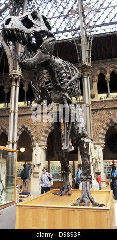 Tyrannosaurus rex. Cast di uno scheletro da 65 milioni di anni di età cretaceo superiore Hell Creek formazione di Harding paese, Dakota del Sud, Stati Uniti d'America. Foto Stock