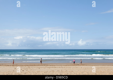 Riproduzione di cricket sulle spiagge incontaminate della iSimangaliso/Greater St Lucia Wetland Park Foto Stock