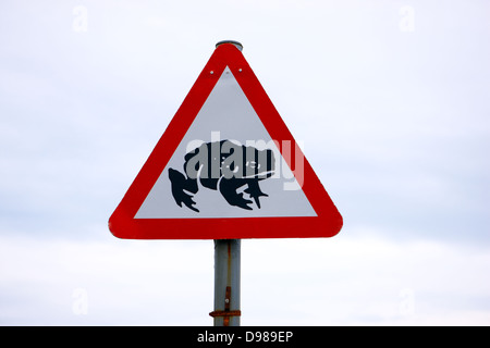 Avviso per i conducenti che questo è dove le rane attraversare la strada Foto Stock