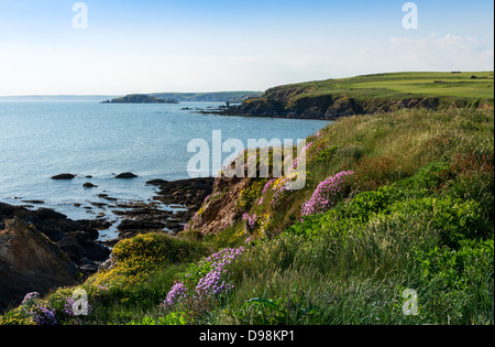 Thurlestone, Devon, Inghilterra. 3 giugno 2013. Una vista della spiaggia e del campo da golf e Burgh Island da Thurlestone. Mare rosa. Foto Stock