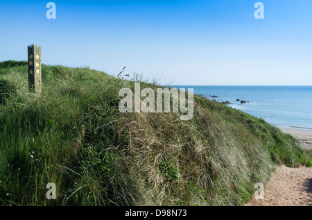 Thurlestone, Devon, Inghilterra. 3 giugno 2013. Wispy duna di sabbia di erba a Thurlestone con il mare, la spiaggia e la via costiera marcatore. Foto Stock