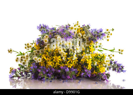 Bouquet di fiori d'estate su sfondo bianco Foto Stock