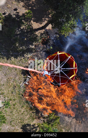 Un esercito americano UH-60 Black Hawk elicottero scende a 500 galloni di lotta antincendio secchio di acqua sul Black Forest Fire Giugno 12, 2013 vicino a molla di Colorado, CO. Il fuoco ha ucciso due persone e distrutto più di 500 case diventando più distruttivo wildfire in Colorado. Foto Stock