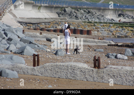 Donna che gioca con il cane sulla spiaggia, un'altra persona e un altro cane può essere visto in background. Foto Stock